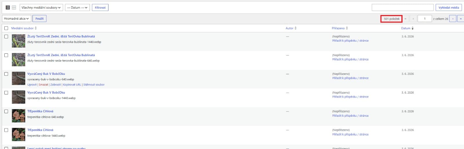WordPress Media Library list view showing 501 media items highlighted.